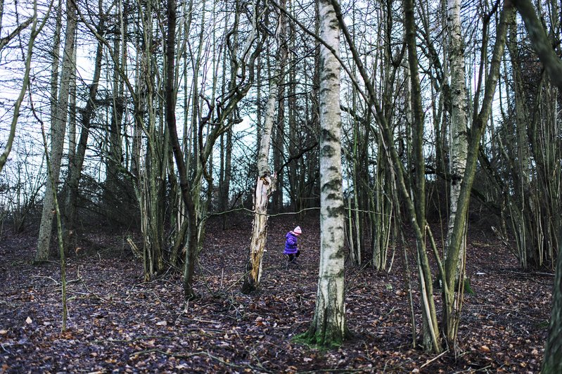 c784c1fe-26f1-4288-896a-0099fff5e978