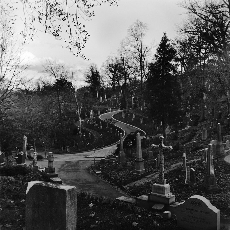 a149a1db-395b-4b7b-8bb6-9ebe46bd6698