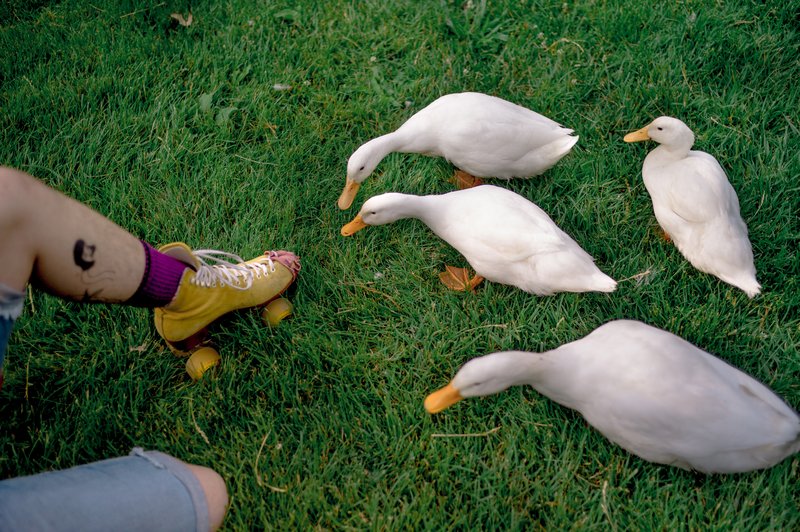 4a2e2fdc-14ab-4cfd-b6ec-ac3d82fa10ad