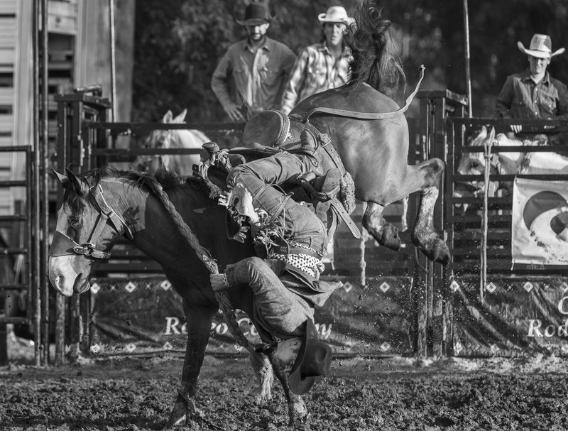 f07f7991-2c87-424d-977d-f86fd6e60765