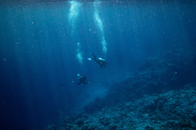 940d8851-4cc5-4f0c-a43f-004e8d9e1ade