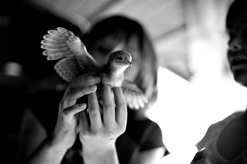 224407f7-f596-44b0-ba59-ff88a732d724