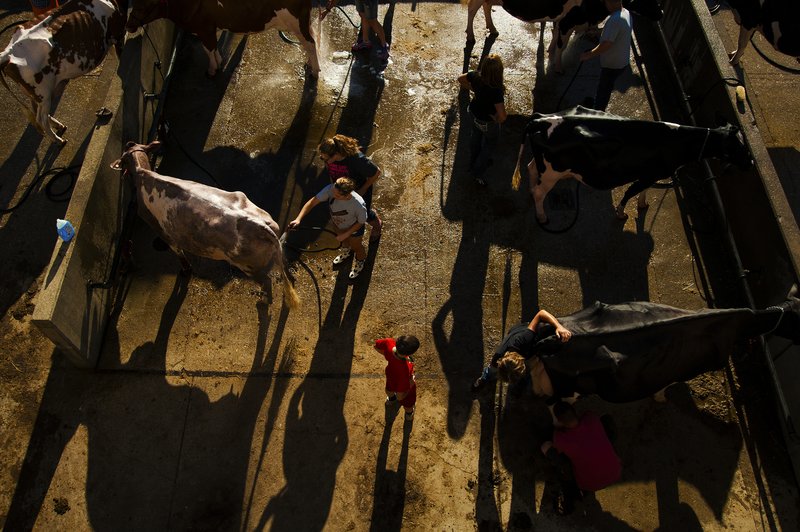 c3f1731c-24d9-4dd5-9753-a2d5647dfe72