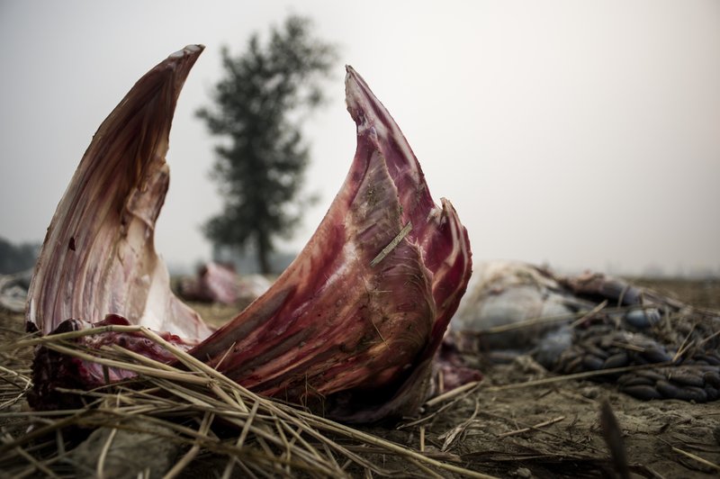 29c36d66-ded1-4379-a59a-9b0aa4752c48