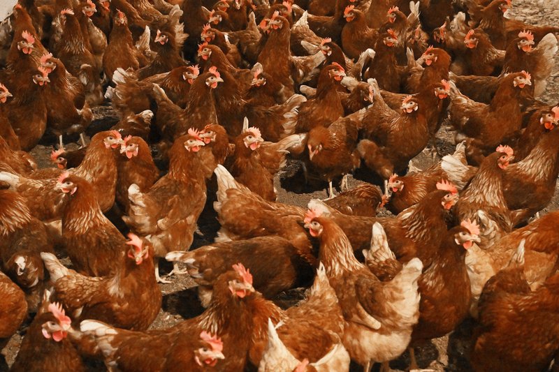 88646cb9-730d-4ff5-a4bd-11ead5105b23