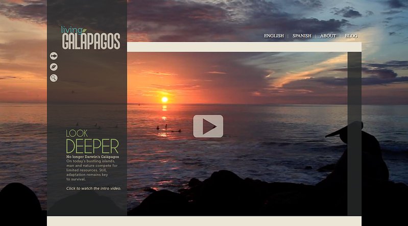 c4185b24-e65b-4287-9433-ec41ea24452c