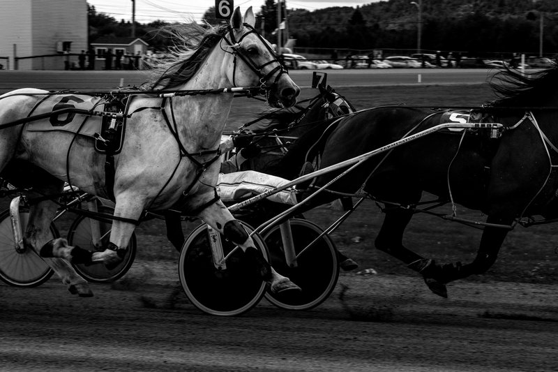 ba4473da-fa5d-4569-8353-196ab0a0f644