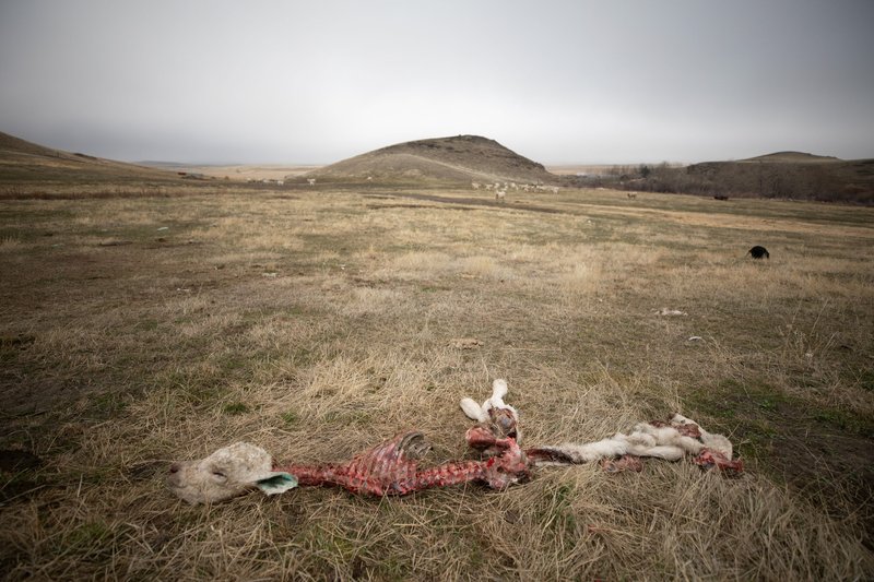 8763ed06-43b5-4bd6-8329-0f63f2262bf8