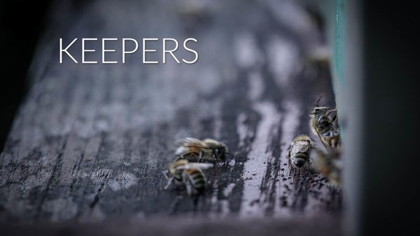 b839187a-c763-43b2-9f60-658de05ecb49