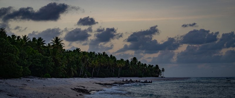 d95d7817-c3ea-427e-bc69-c6d62e4491b2