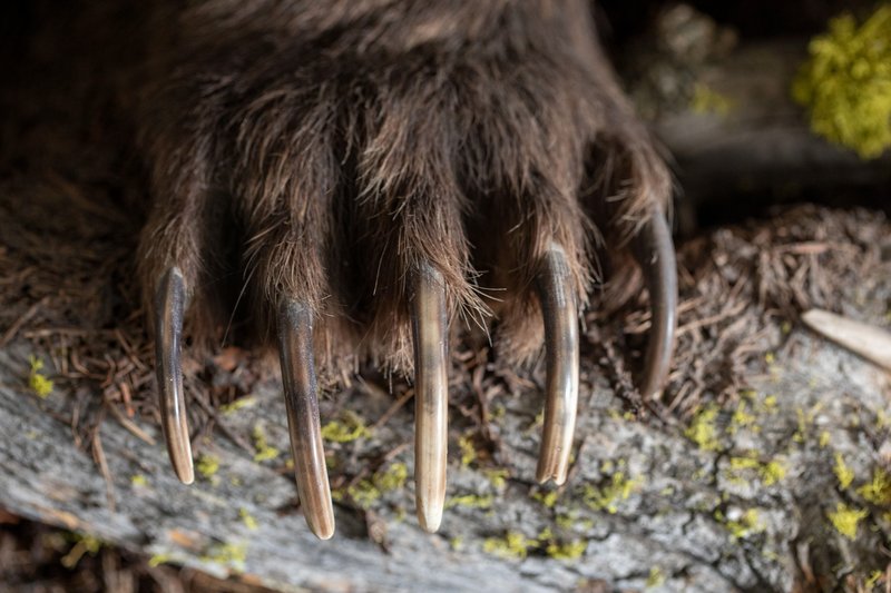 e5d99949-0a7f-4854-949a-126d64b8dd5e