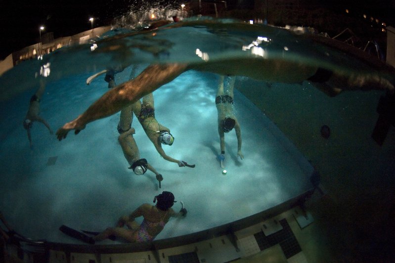 fc43445a-4030-4689-95c3-a16d6af82051