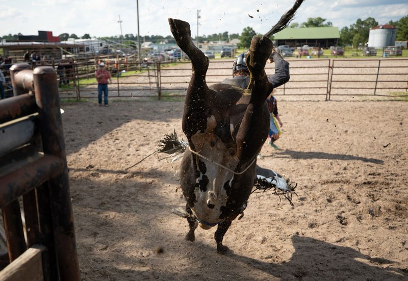 62c04d09-6e46-41d8-aeea-97146b125f8b