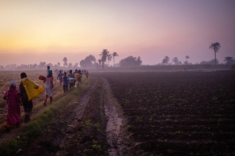 15d0fee1-d680-48be-82af-8c56c6c5c37d