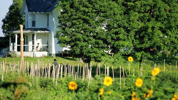 4ea518ca-7b4d-439b-816d-5b4770332883