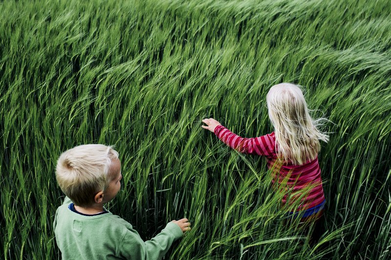 ba1e305a-4799-4714-bffe-9d1cd4d71483