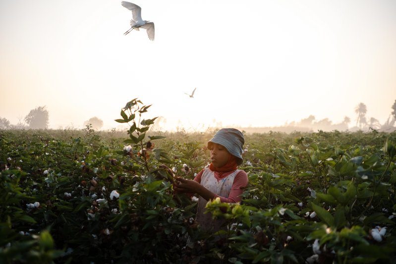 a45ec856-6f1d-409d-affc-ae4694056159