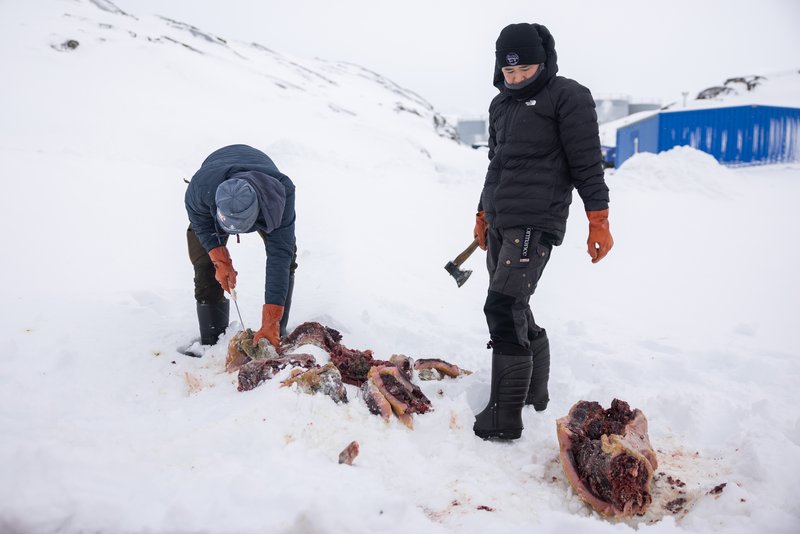 f72d7677-d22f-40dd-b2ec-8c91e235c7e9