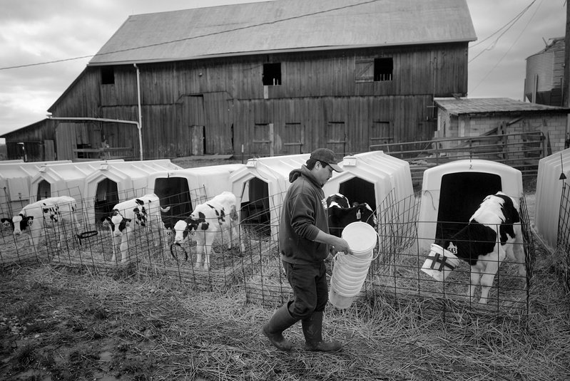 746e03a8-4f10-4468-a439-d6611bd68b75