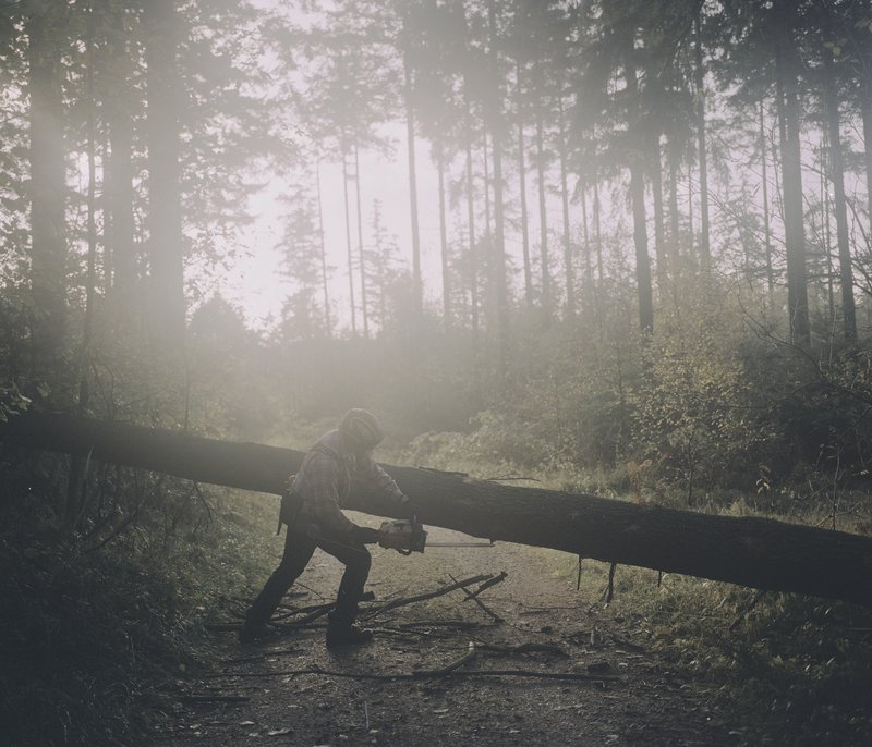 41671f26-b4dc-455f-b00d-931ab85f7a7a