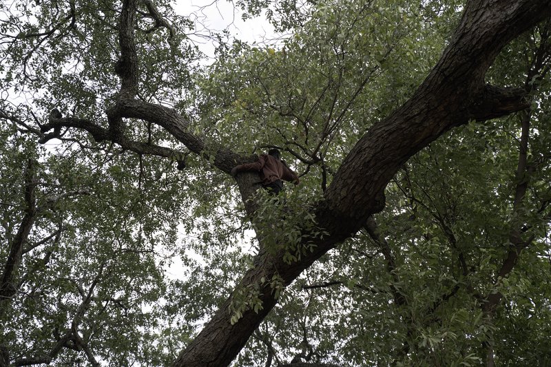 586a9275-9411-4e1d-98d7-a9135ad4addb