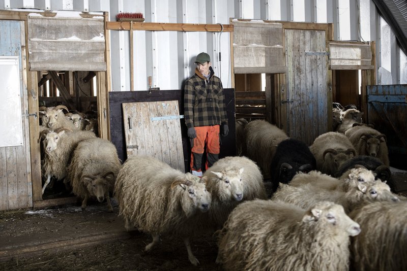 e54ab3a9-ef85-4c75-a2e3-e1be4f5a2abf