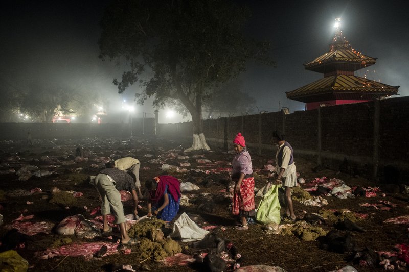 12cb3993-06a6-4901-a8e6-4b5f486411b8