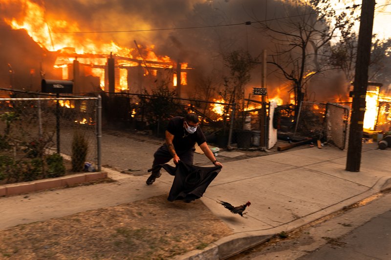 8fb7e599-e546-4ee4-92f3-d6f90eee670c