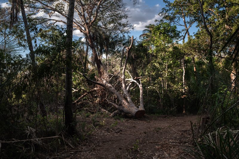 036482c6-8da0-4997-96bb-13b9653711c9