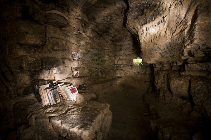 202ff1ed-6b49-48b2-a995-b0a069c71fb7