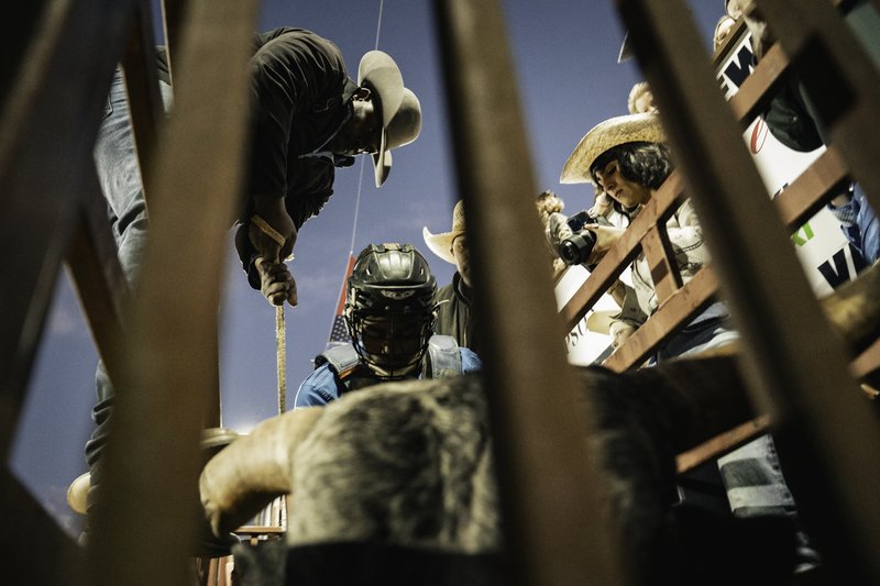 17b5fd43-8450-415e-8c69-9c5b782b90c1