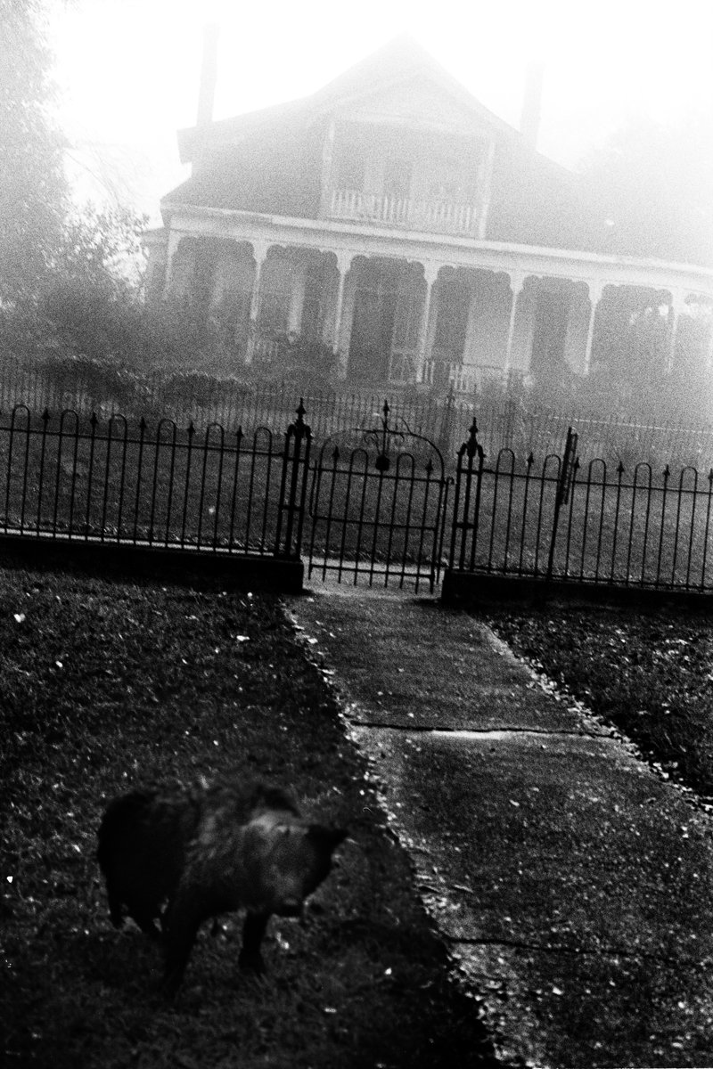 fc21ce9d-3db7-4a33-87a4-919587d452c5