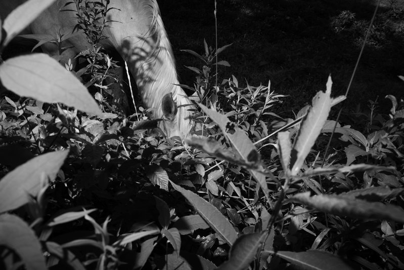 260fa591-67ee-4799-b16c-2af30b3fbe0b