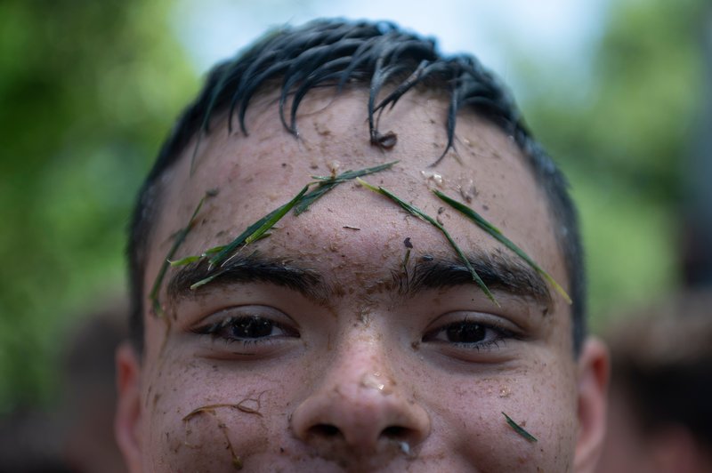 3a33131c-58d4-4e26-af39-2f214a375625