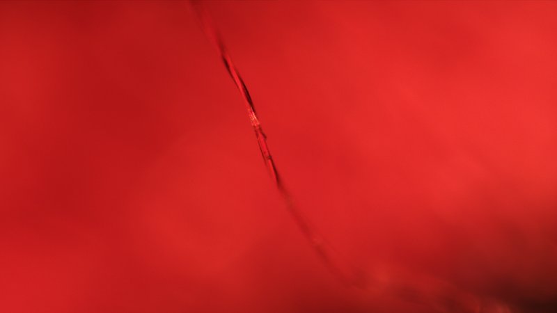 4c940d8d-ecd2-4b5a-a415-af14a04889c1