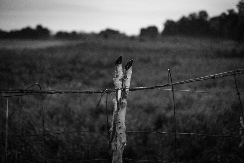 73d17333-11a4-43be-a695-3a9f6befcc0f