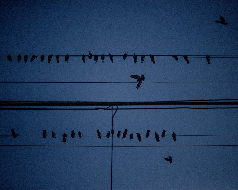 f9e0effb-fcf6-49d6-9e5f-cc4164cffa77