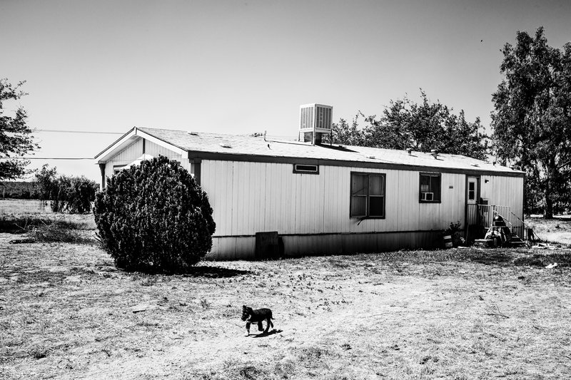 b207da0f-d6c9-4d6a-9ddd-dc90b7fb2255