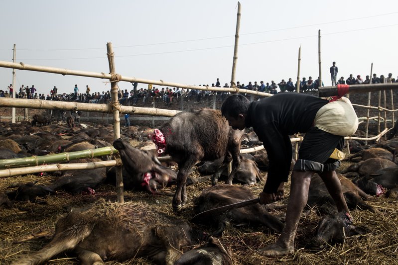 0e479da4-fdd6-4c25-8663-5fabe4c54311