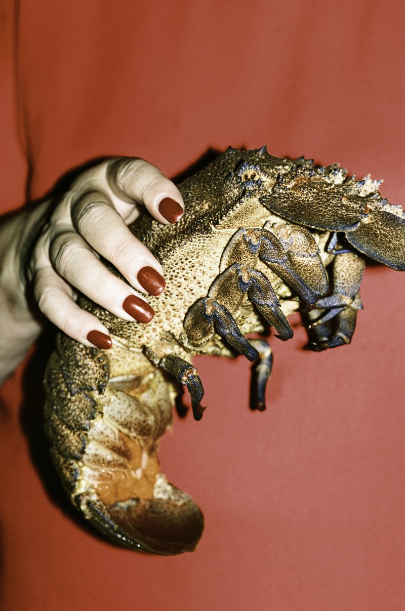 fe001aef-02c5-434d-9294-fee6c3d204b1