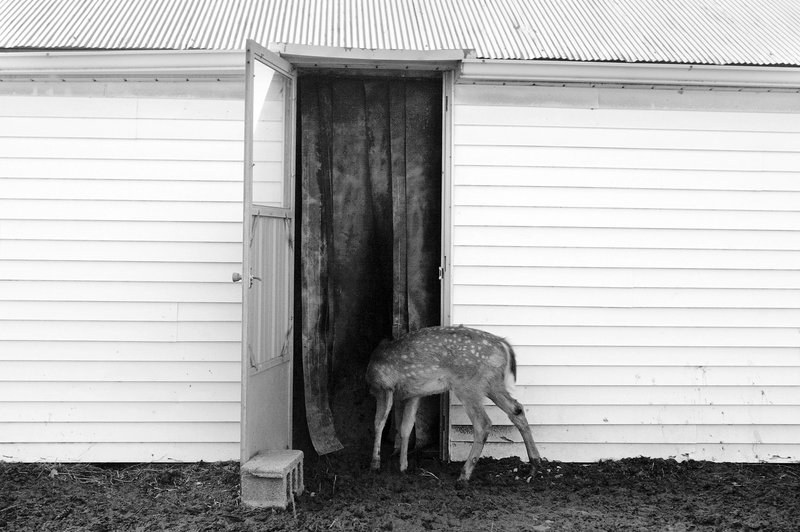 3580d69d-0780-4058-9b5f-544881ffe569