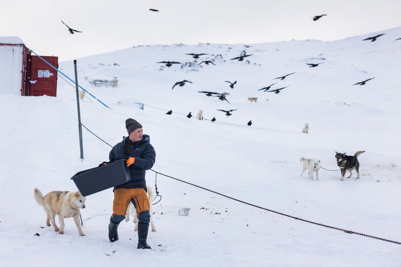 5d9e9ae2-6f01-4ab8-83ce-2fdb2cd78739