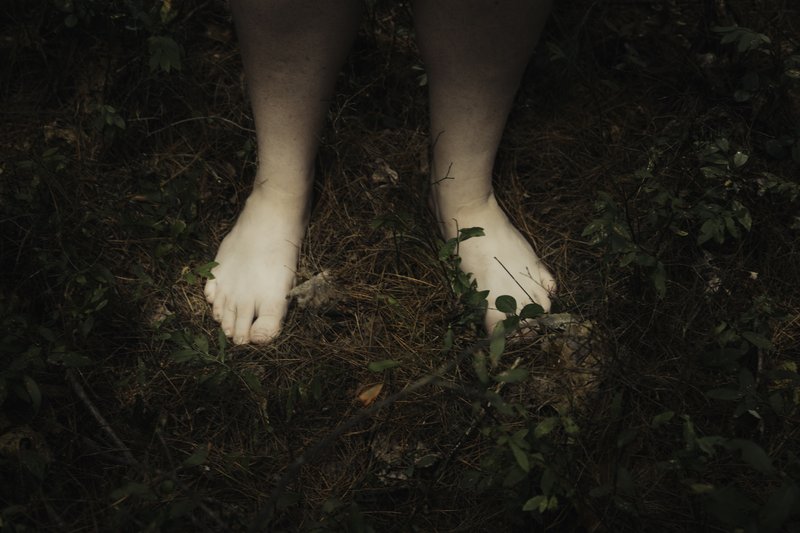 8f6cda1d-df5f-45a7-9700-14dc076c5ff8