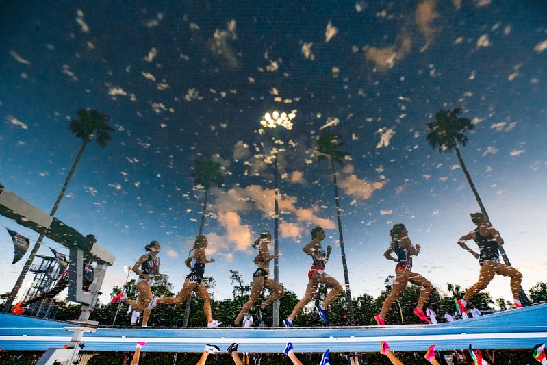 d1ede192-cc5d-4263-bf79-ed0de57e3ac6