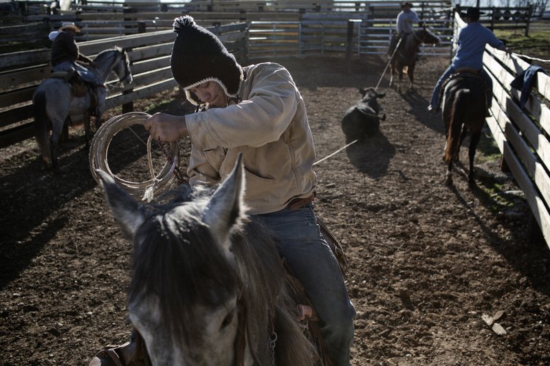 378e0d9e-3caa-4cba-9b3a-fcaa4bd03ea6