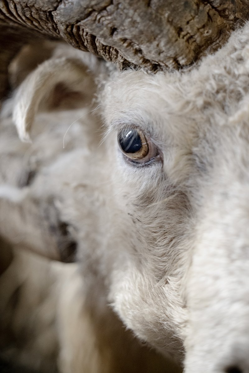 8a26cdaa-da99-49a6-a62c-31e1f0c0d48e