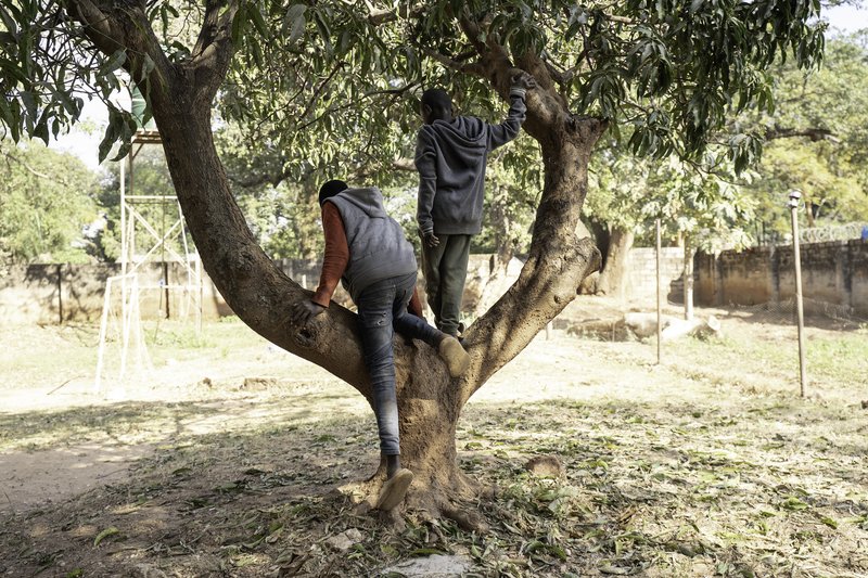 9cada2d1-1d3c-47a8-ab25-98887d39fcdd