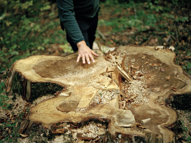 701a5cc4-b681-45bc-a47a-068b52b19c5b