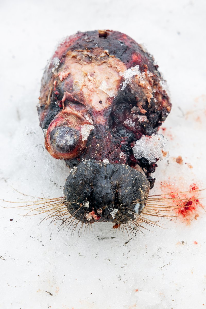 c10ae413-0bba-4243-8978-d192f2be8012