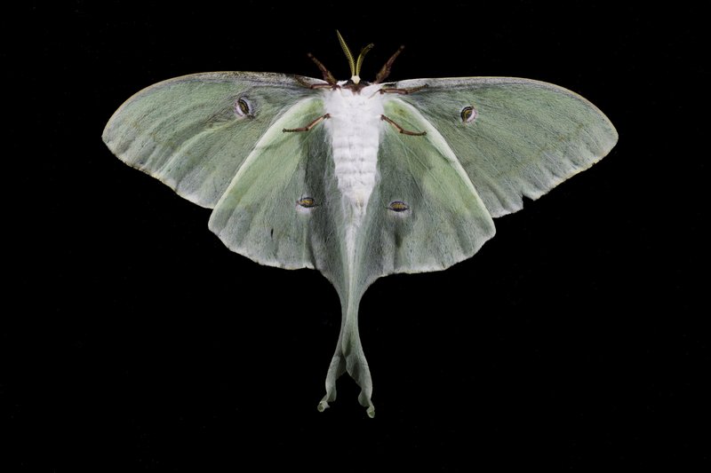 2063a72b-4339-45ea-ab1d-658f78ff7c1d